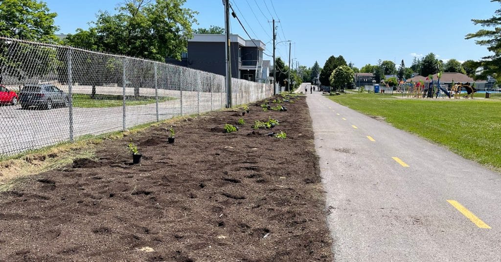 Budget participatif 2023 – Photos plantation projet Arbres fruitiers