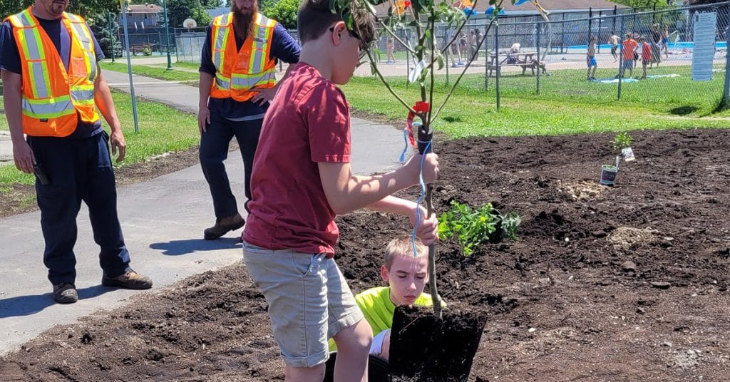 Budget participatif 2023 – Photos plantation projet Arbres fruitiers