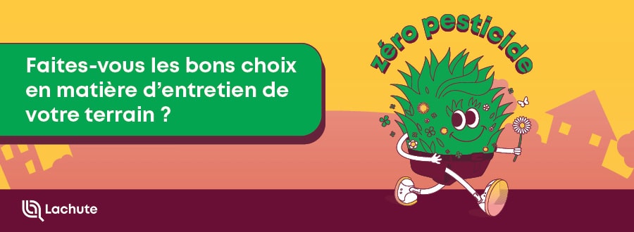 Faites-vous des bons choix en matière d'entretien de votre terrain? | À Lachute, c'est zéro pesticide.