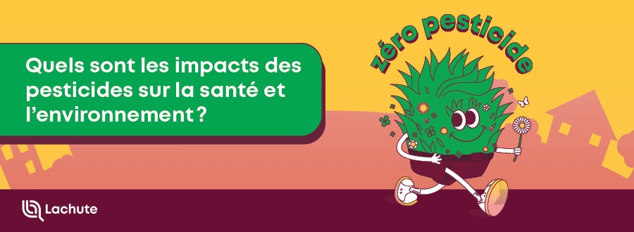 Faites un choix éclairé pour l'entretien de votre terrain! À Lachute, c'est zéro pesticide.