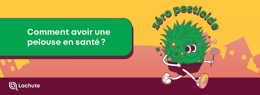 Faites un choix éclairé pour l'entretien de votre terrain! À Lachute, c'est zéro pesticide.